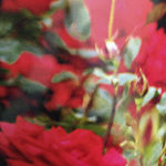 Kiron Robinson, I tried, 2005