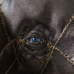 Tarryn Gill, Big Shadow, 2021