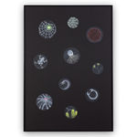 Angela Valamanesh, The Anatomy of Plants and Animals no. 2, 2013