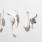 Sophie Carnell, silent sentinel I (Acianthus caudatus -mayfly orchid), 2020