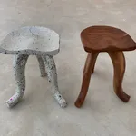 David Tate, Flamboyant Skip, 2023