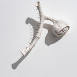 Sarah Rayner, Distance of a Whisper … Group M, 2023