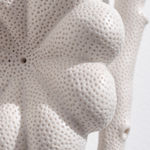 Sarah Rayner, Distance of a Whisper … Group M, 2023