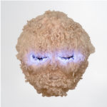 Tarryn Gill, Big Shadow, 2021