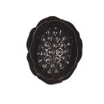 Angela Valamanesh, The Anatomy of Plants and Animals no. 2, 2013