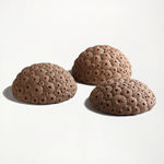 Angela Valamanesh, The Anatomy of Plants and Animals no. 2, 2013