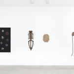 Angela Valamanesh, The Anatomy of Plants and Animals no. 2, 2013