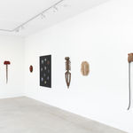 Angela Valamanesh, The Anatomy of Plants and Animals no. 2, 2013