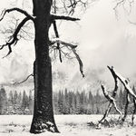Carleton Watkins, Charging the Furnaces, New Almaden, 1863