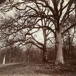 Carleton Watkins, Agassiz Rock from Union Pt, Yosemite, 1878-81