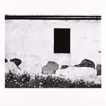 Steve Crouch, Diablo Range, Southern Monterey County, CA, 1974