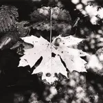 Donald Ross, [Reservoir]