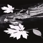 Thomas Harding, Sunset, Louisiana Gulf Coast, c. 1983