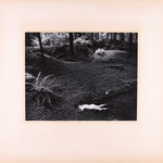 Robert K. Byers, Glass Building for Tropical Flowers, Golden Gate Park, San Francisco, 1974