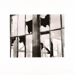 Steve Crouch, Diablo Range, Southern Monterey County, CA, 1974