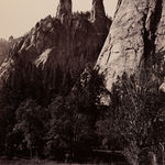 Robert K. Byers, Glass Building for Tropical Flowers, Golden Gate Park, San Francisco, 1974