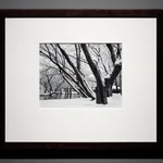 Edward Weston, Eroded Rock (51R), Point Lobos, 1930