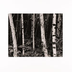 Donald Ross, [Reservoir]