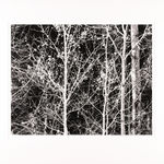 Donald Ross, [Reservoir]