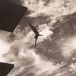 Brassai, La Crème de Beauté, c. 1932