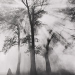 Bob Kolbrener, Rock Covers Paper #9, Big Sur, 1999