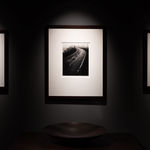 Steve Crouch, Diablo Range, Southern Monterey County, CA, 1974