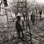 Steve Crouch, Diablo Range, Southern Monterey County, CA, 1974