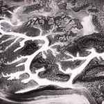 Steve Crouch, Diablo Range, Southern Monterey County, CA, 1974