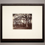 Carleton Watkins, Agassiz Rock from Union Pt, Yosemite, 1878-81