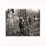 Steve Crouch, Diablo Range, Southern Monterey County, CA, 1974