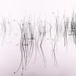 Steve Crouch, Diablo Range, Southern Monterey County, CA, 1974