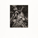 Donald Ross, [Reservoir]