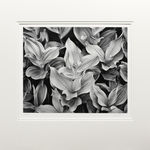 Carleton Watkins, Charging the Furnaces, New Almaden, 1863