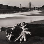 Robert K. Byers, Glass Building for Tropical Flowers, Golden Gate Park, San Francisco, 1974