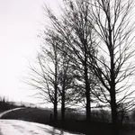 Edward Weston, Eroded Rock (51R), Point Lobos, 1930