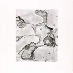 Steve Crouch, Diablo Range, Southern Monterey County, CA, 1974