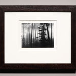 Robert K. Byers, Glass Building for Tropical Flowers, Golden Gate Park, San Francisco, 1974