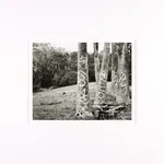 Steve Crouch, Diablo Range, Southern Monterey County, CA, 1974