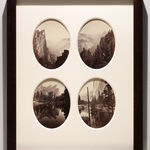 Robert K. Byers, Glass Building for Tropical Flowers, Golden Gate Park, San Francisco, 1974