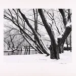 Edward Weston, Eroded Rock (51R), Point Lobos, 1930