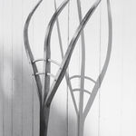 Robert K. Byers, Glass Building for Tropical Flowers, Golden Gate Park, San Francisco, 1974