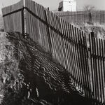 Robert K. Byers, Glass Building for Tropical Flowers, Golden Gate Park, San Francisco, 1974