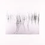 Steve Crouch, Diablo Range, Southern Monterey County, CA, 1974