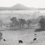 Steve Crouch, Diablo Range, Southern Monterey County, CA, 1974
