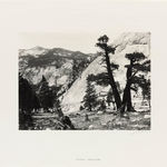 Ansel Adams, Sierra Junipers, Upper Merced Basin, Yosemite Valley, c. 1923