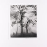 Bob Kolbrener, Rock Covers Paper #9, Big Sur, 1999