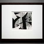 Robert K. Byers, Glass Building for Tropical Flowers, Golden Gate Park, San Francisco, 1974