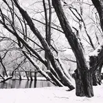 Edward Weston, Eroded Rock (51R), Point Lobos, 1930