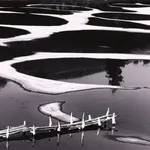 Thomas Harding, Sunset, Louisiana Gulf Coast, c. 1983