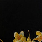 Dileepa Jeewantha, My Journey X, 2024